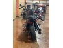 2020 Harley-Davidson Softail Street Bob for sale 201109211