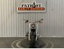 2020 Harley-Davidson Softail Fat Boy 114 for sale 201176124
