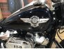 2020 Harley-Davidson Softail Fat Boy 114 for sale 201191386