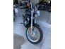 2020 Harley-Davidson Softail Standard for sale 201245021
