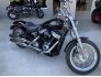 2020 Harley-Davidson Softail Standard for sale 201245021