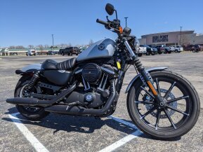 2020 Harley-Davidson Sportster Iron 883 for sale 200975714