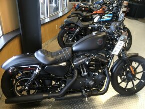 2020 Harley-Davidson Sportster Iron 883 for sale 201155618