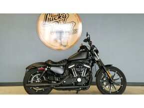 2020 Harley-Davidson Sportster Iron 883 for sale 201194292