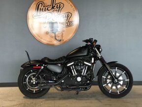 2020 Harley-Davidson Sportster Iron 883 for sale 201194340
