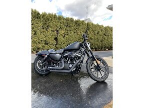 2020 Harley-Davidson Sportster Iron 883 for sale 201203579