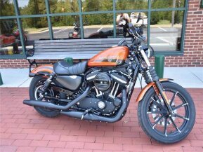 2020 Harley-Davidson Sportster for sale 201204148