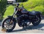 2020 Harley-Davidson Sportster Iron 883 for sale 201211914
