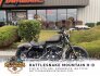 2020 Harley-Davidson Sportster Iron 883 for sale 201211925