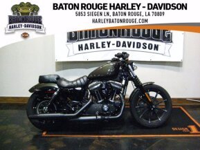 2020 Harley-Davidson Sportster Iron 883 for sale 201213173