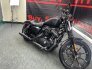 2020 Harley-Davidson Sportster Iron 883 for sale 201226892
