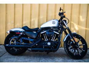 2020 Harley-Davidson Sportster Iron 883 for sale 201250408