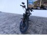 2020 Harley-Davidson Sportster Iron 883 for sale 201266959