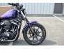2020 Harley-Davidson Sportster for sale 201274121