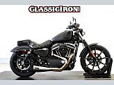 2020 Harley-Davidson Sportster Iron 883 for sale 201573553