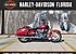 2020 Harley-Davidson Touring Road King for sale 200806028