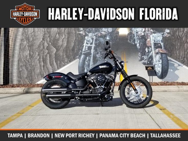 Photo for New 2020 Harley-Davidson Softail Street Bob