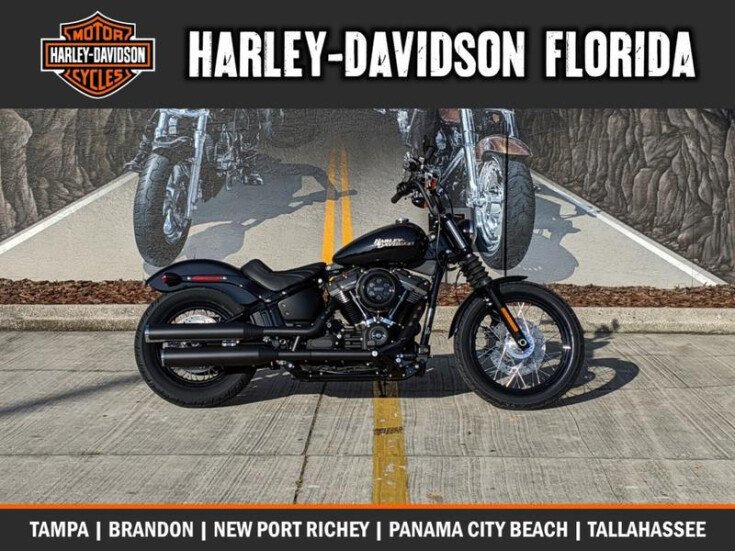 Photo for New 2020 Harley-Davidson Softail Street Bob