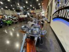 Thumbnail Photo 19 for 2020 Harley-Davidson Softail Deluxe