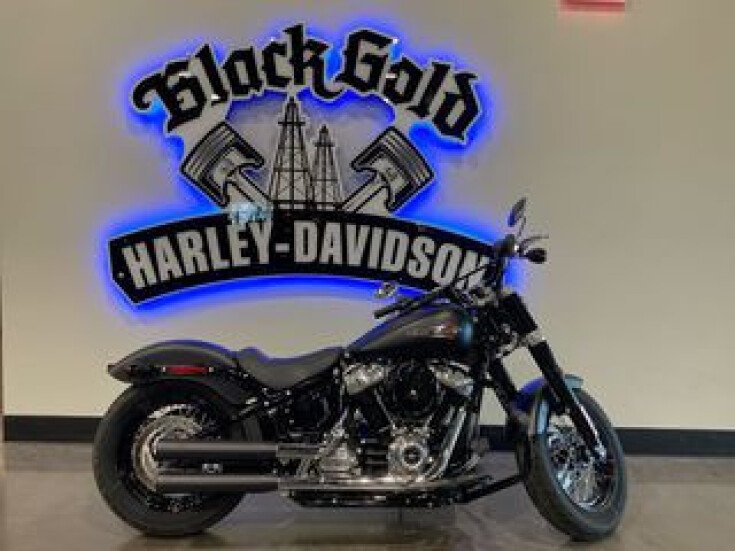 Photo for 2020 Harley-Davidson Softail Slim