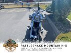 Thumbnail Photo 22 for 2020 Harley-Davidson Softail Deluxe