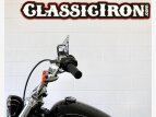 Thumbnail Photo 16 for 2020 Harley-Davidson Softail Standard