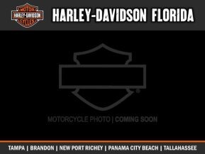 2020 Harley-Davidson Softail Slim for sale 200818524