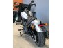 2020 Harley-Davidson Softail Low Rider S for sale 201194344