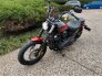 2020 Harley-Davidson Softail for sale 201239003