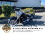 2020 Harley-Davidson Softail Deluxe for sale 201298676