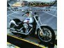 2020 Harley-Davidson Softail Low Rider for sale 201302007