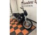2020 Harley-Davidson Softail Standard for sale 201306539