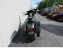 2020 Harley-Davidson Softail for sale 201320739