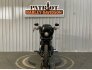 2020 Harley-Davidson Softail Low Rider S for sale 201346851