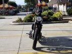 Thumbnail Photo 2 for New 2020 Harley-Davidson Sportster Iron 883