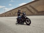 Thumbnail Photo 33 for 2020 Harley-Davidson Sportster Iron 1200