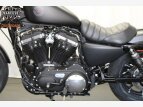 Thumbnail Photo 35 for 2020 Harley-Davidson Sportster Iron 883