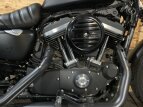 Thumbnail Photo 8 for 2020 Harley-Davidson Sportster Iron 883