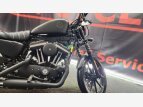 Thumbnail Photo 11 for 2020 Harley-Davidson Sportster Iron 883