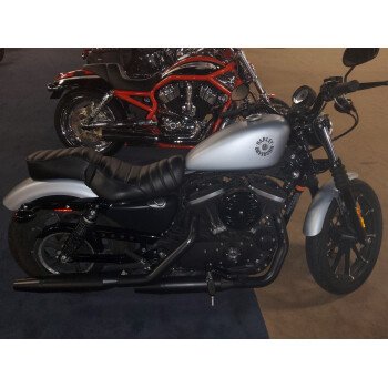 2020 Harley-Davidson Sportster Iron 883