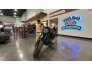 2020 Harley-Davidson Sportster Roadster for sale 201177540