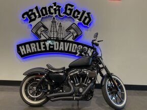 2020 Harley-Davidson Sportster Iron 883 for sale 201183441