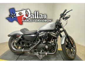 2020 Harley-Davidson Sportster Iron 883 for sale 201195625