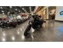 2020 Harley-Davidson Sportster Iron 883 for sale 201196217