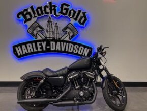 2020 Harley-Davidson Sportster Iron 883 for sale 201204795