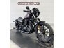 2020 Harley-Davidson Sportster Iron 1200 for sale 201206954