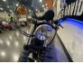 2020 Harley-Davidson Sportster Iron 883 for sale 201216385