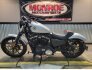 2020 Harley-Davidson Sportster for sale 201224049