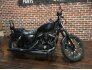 2020 Harley-Davidson Sportster Iron 883 for sale 201244667