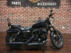 2020 Harley-Davidson Sportster Iron 883 for sale 201244667